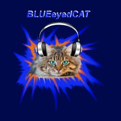 BLUEeyedCAT