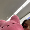 sofiggle