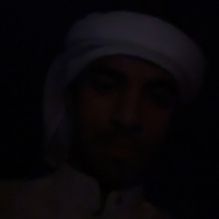 sultan bin saeed