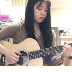 김억콩