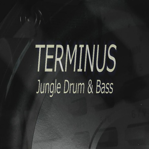 TERMINUS’s avatar