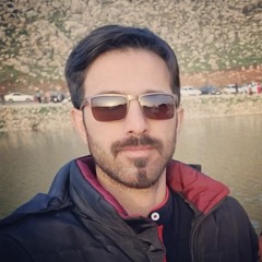 barzin bidmeshki