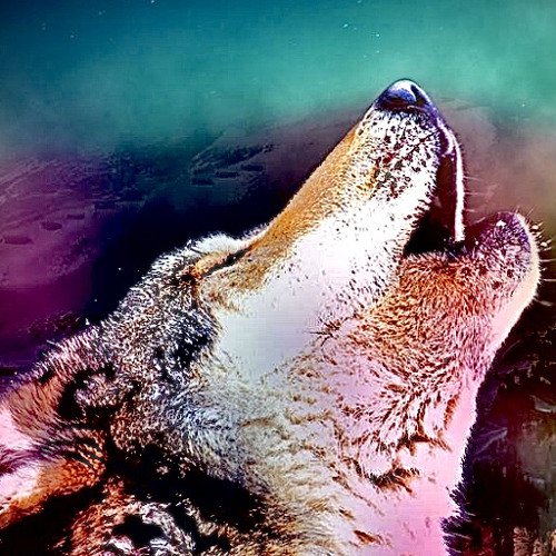 howlingatthemoon.m4a