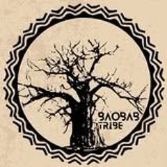 Baobab Tribe