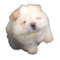mashed potato