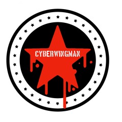 Cyberwingman