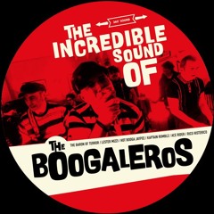 Theboogaleros