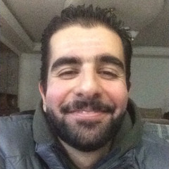 Fardin Arasteh