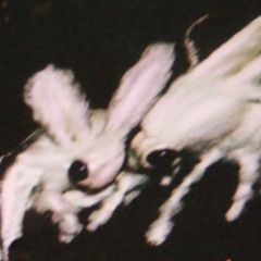 astéro