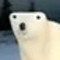 Ice Bear