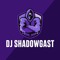 DJ shadowgast