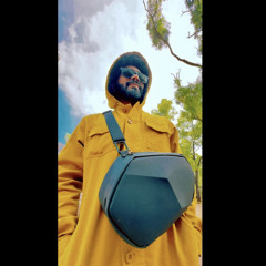 Advernekar33