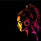 Dj Skyfire