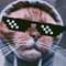 Snoop Cat