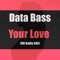 Data Bass (Jay)