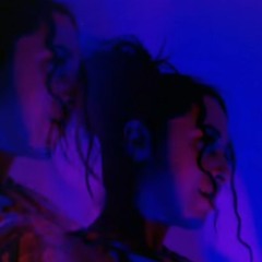 BexMachina