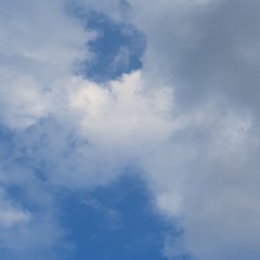mostlypureviolet