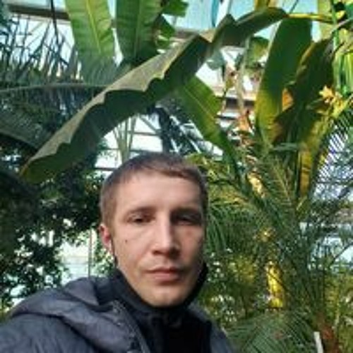 Vitalii Haliakberov’s avatar