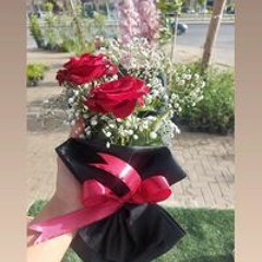 Marwa Elbehery