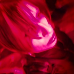 bente violet
