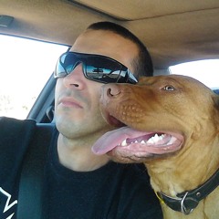 Breakout of the box You put yourself in