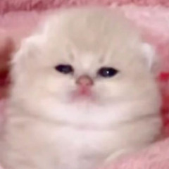 beabea