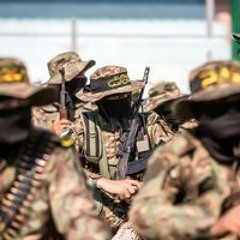 أكرم عبد النبي