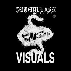 OUT MY LEASH VISUALS