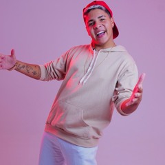 MC DSM