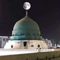 مفضلة