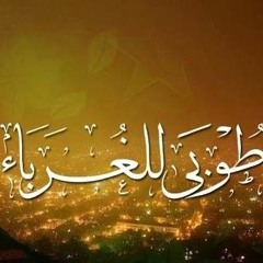 مديحة صلاح