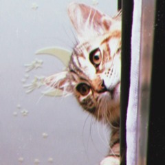 Little Starleyﾐ☆