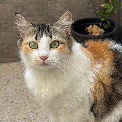 Gowther