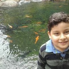 Jose Ariel Zambrano Dueñas