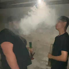 Sesnns