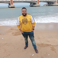 mohamed elwrdany