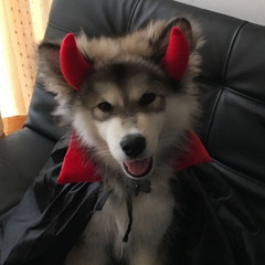klav