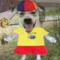 Wulfy Archive