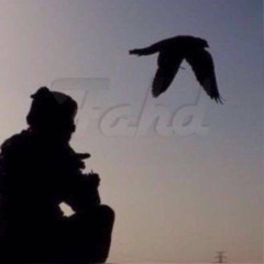 لين العــود