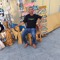 محمود الطيب