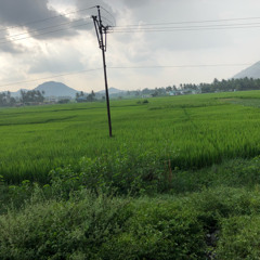 Syed Saifuddin
