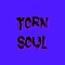 TornSoul