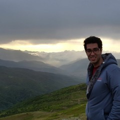 Mehdi A.Amiri
