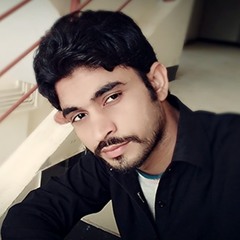 meer ali