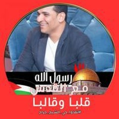 محمود أمين