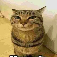 ,