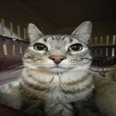 Bubblez_zh