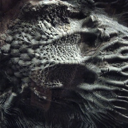 Nebruk & Vapor Loop-Tiny Hertz (Mellon Place Records)