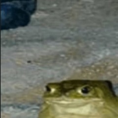 Kyaxansxx