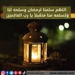 Mamt Merna Mostafa